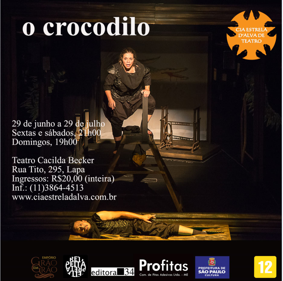 o crocodilo